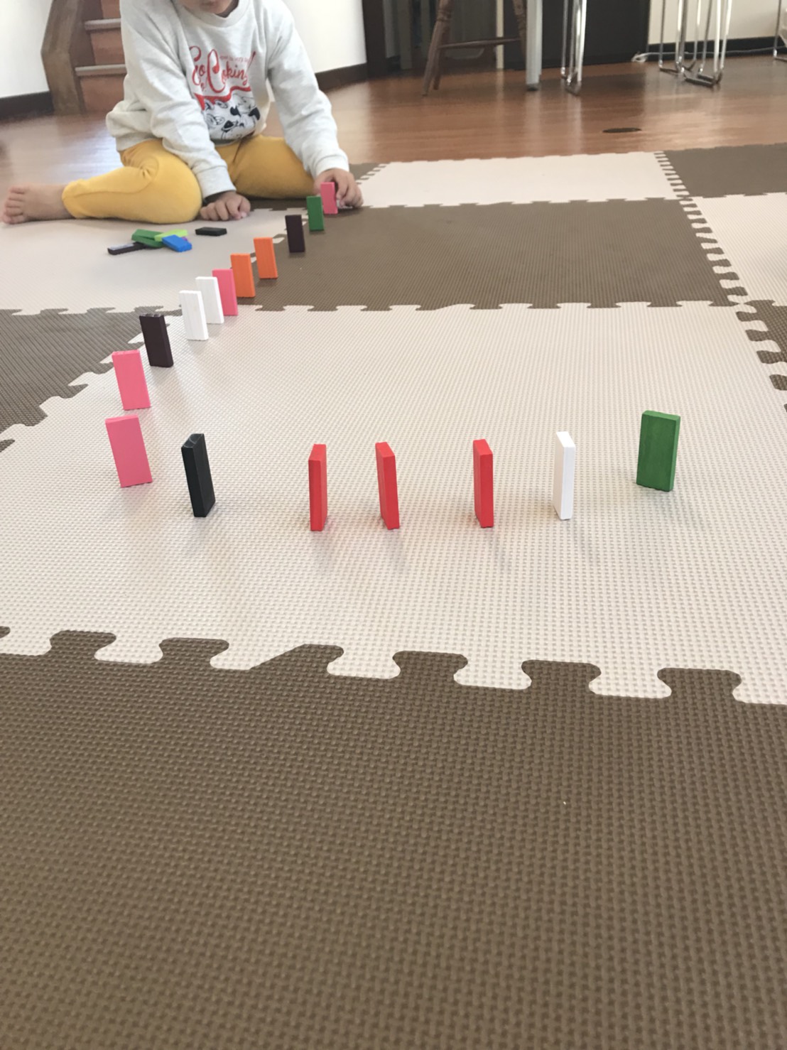 ドミノ・・・できるかな？